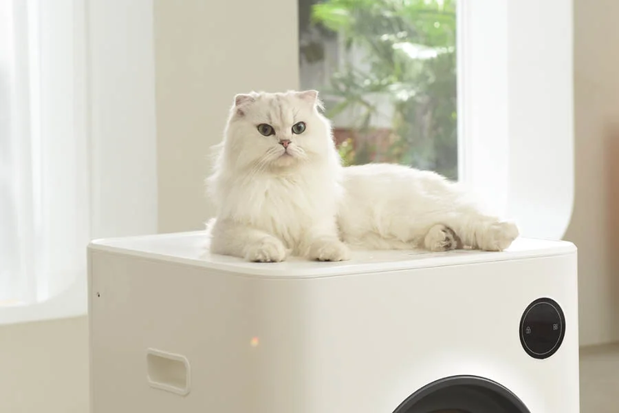 what is the best automatic litter box